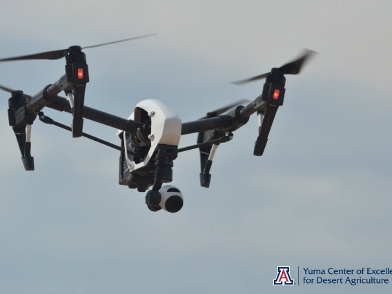 Yuma Center of Excellence for Drone Agriculture, drone in flight